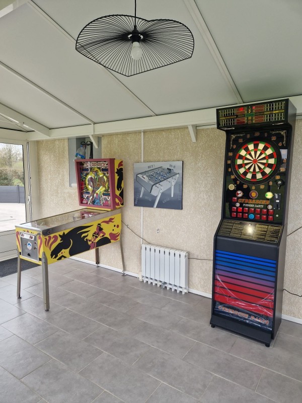 Fléchette Cyberdine