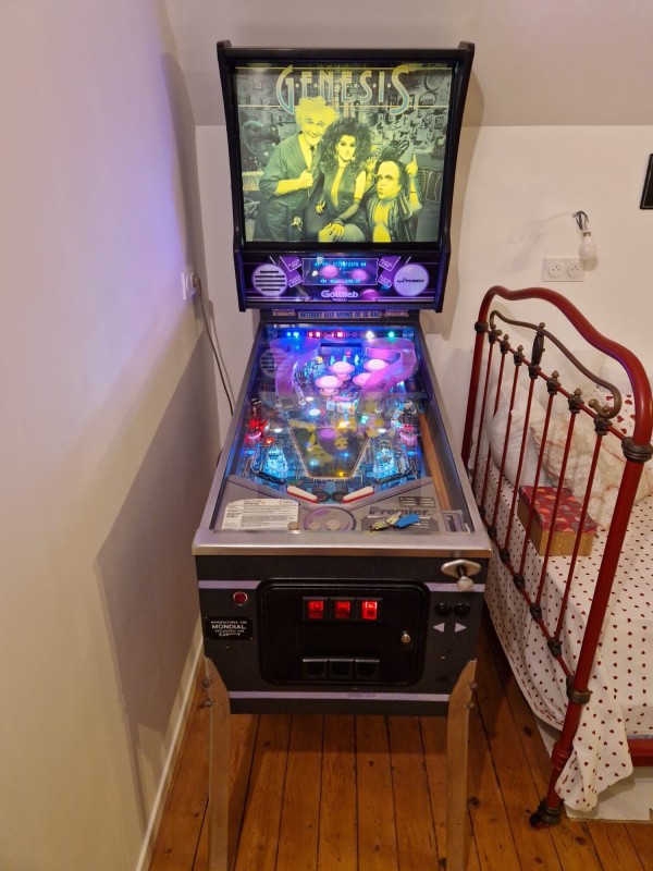 Flipper occasion VENDU